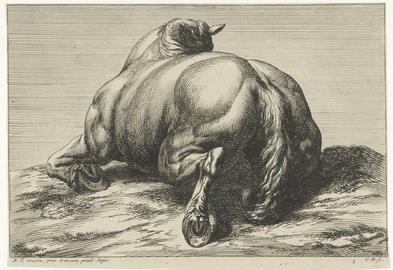Elesett ló a hasán hátulról nézve Dead Horses (sorozat címe) alkotó: Jan van Huchtenburg