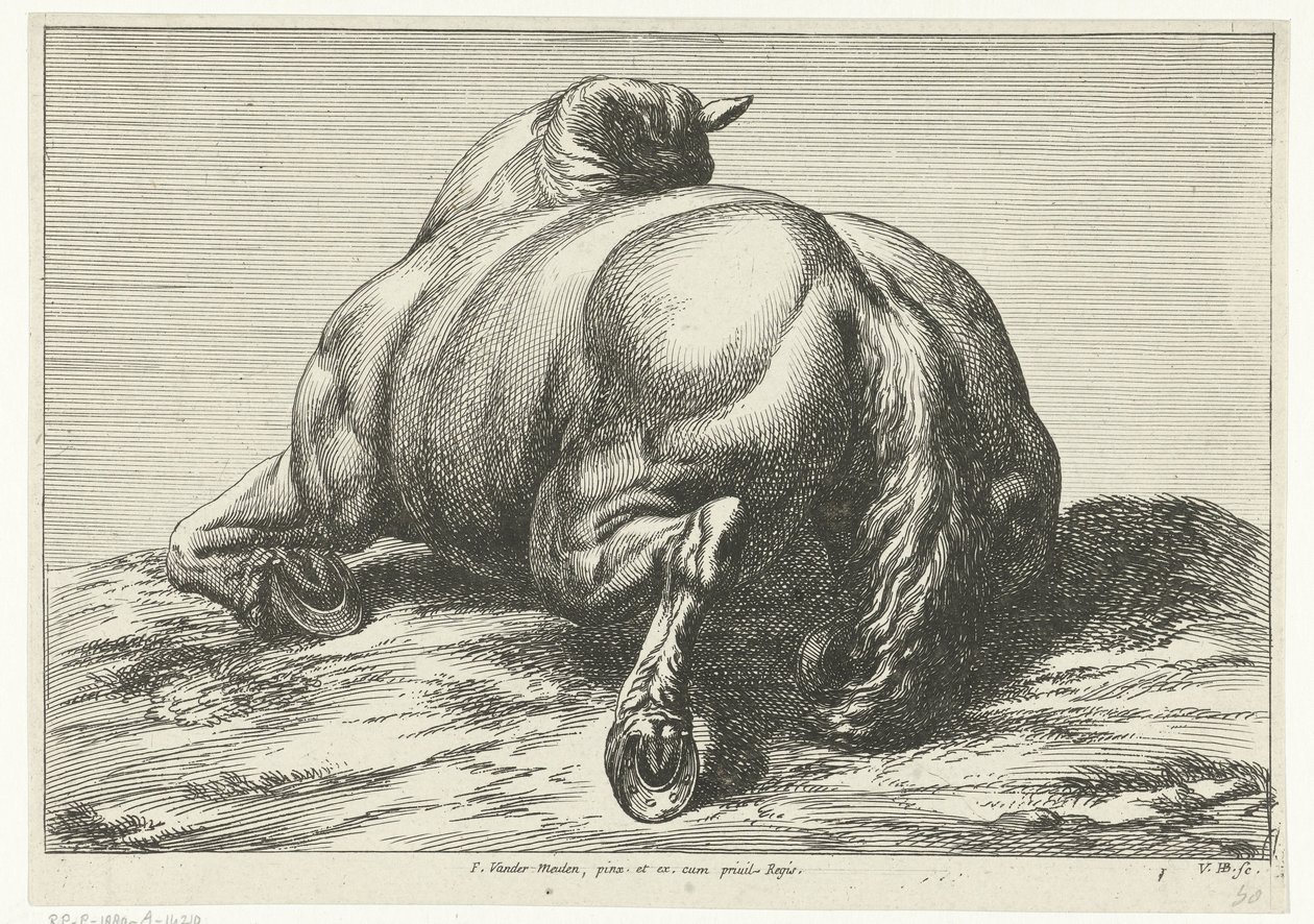 Elesett ló a hasán hátulról nézve Dead Horses (sorozat címe) alkotó: Jan van Huchtenburg