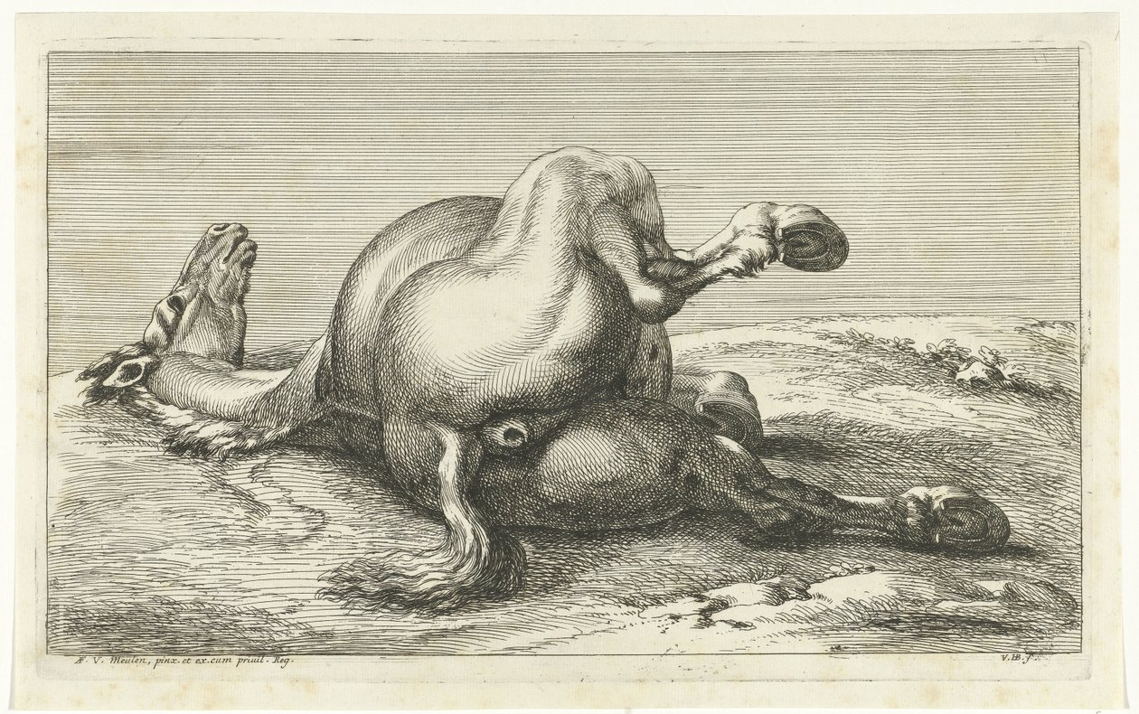 Döglött ló hátulról nézve Dead Horses (sorozat címe) alkotó: Jan van Huchtenburg