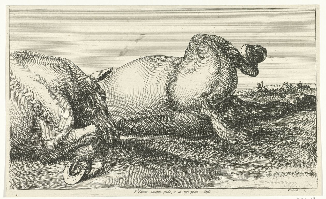 Két elesett ló hever egymás mögött Fallen Horses (sorozat címe) alkotó: Jan van Huchtenburg