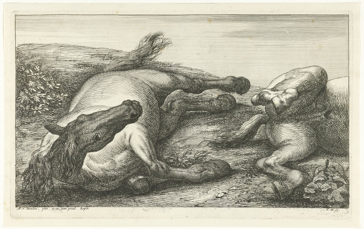 Két elesett ló, a bal oldali szemből nézve Dead Horses (sorozat címe) alkotó: Jan van Huchtenburg