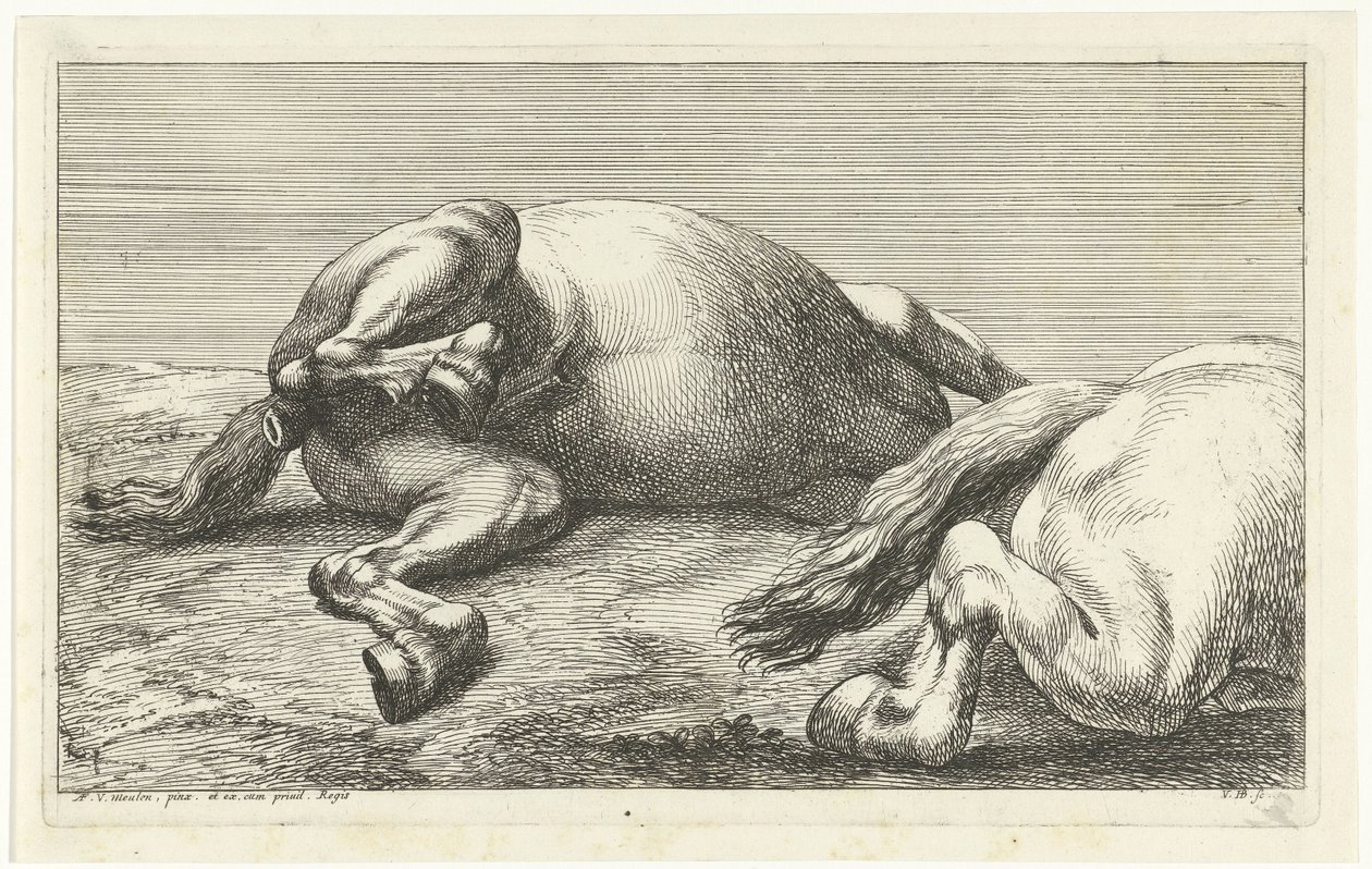 Két elesett ló, a jobb oldalról nézve Dead Horses (sorozat címe) alkotó: Jan van Huchtenburg