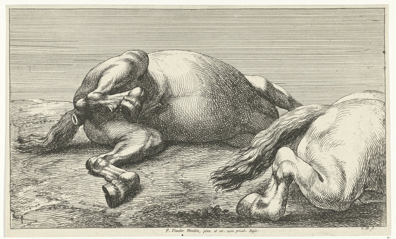 Két elesett ló, a jobb oldalról nézve Dead Horses (sorozat címe) alkotó: Jan van Huchtenburg