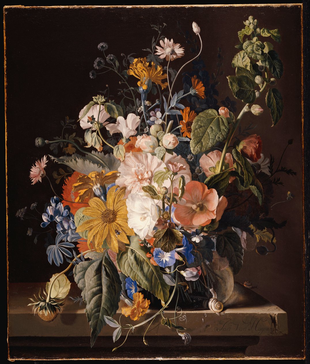 Pipacsok, Hollyhock, Morning Glory, brácsa, százszorszép, édes borsó, körömvirág és más virágok vázában, csigával a párkányon alkotó: Jan van Huysum