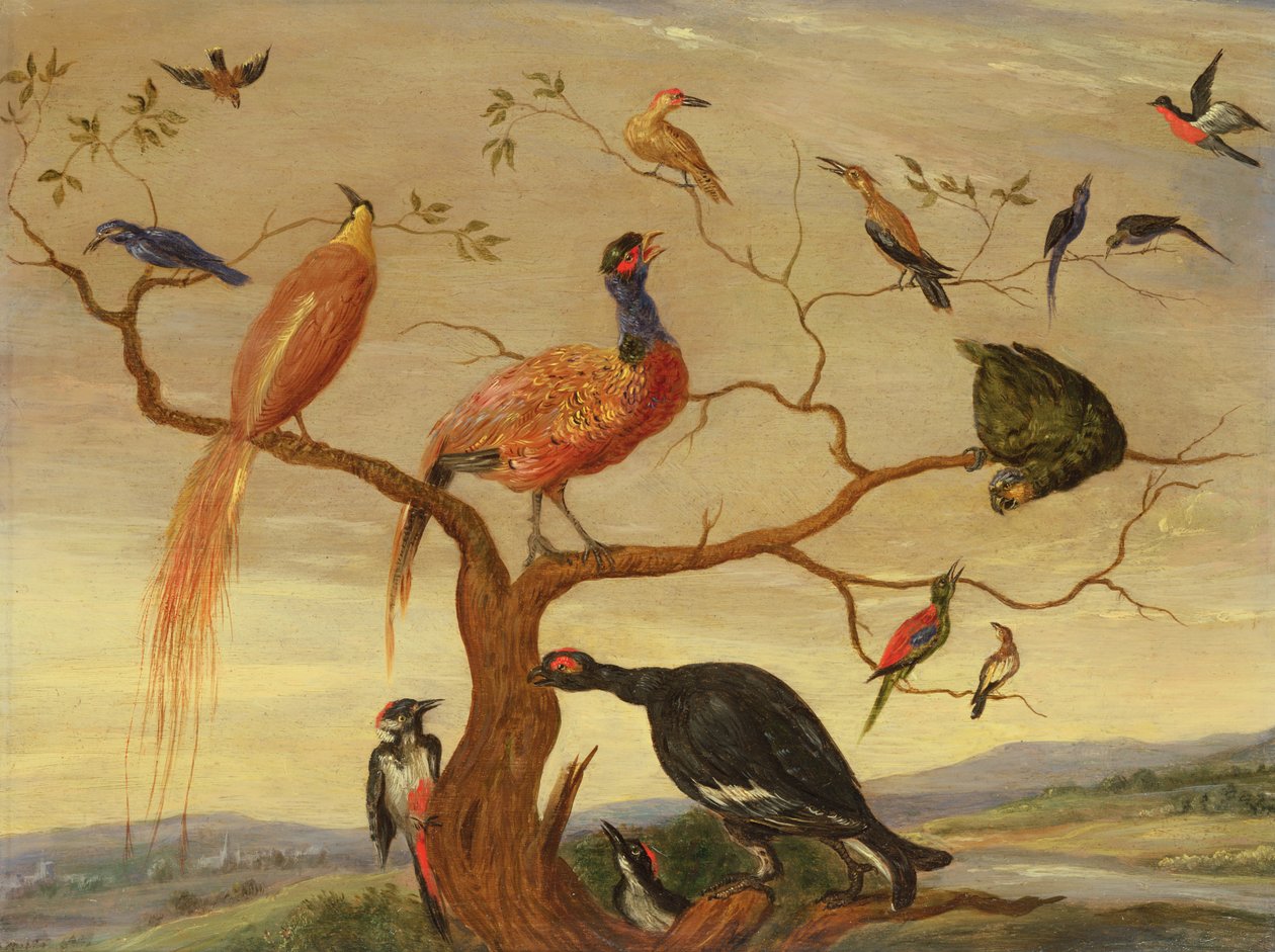 Madárkoncert (olaj, réztábla) alkotó: Jan van Kessel the Elder