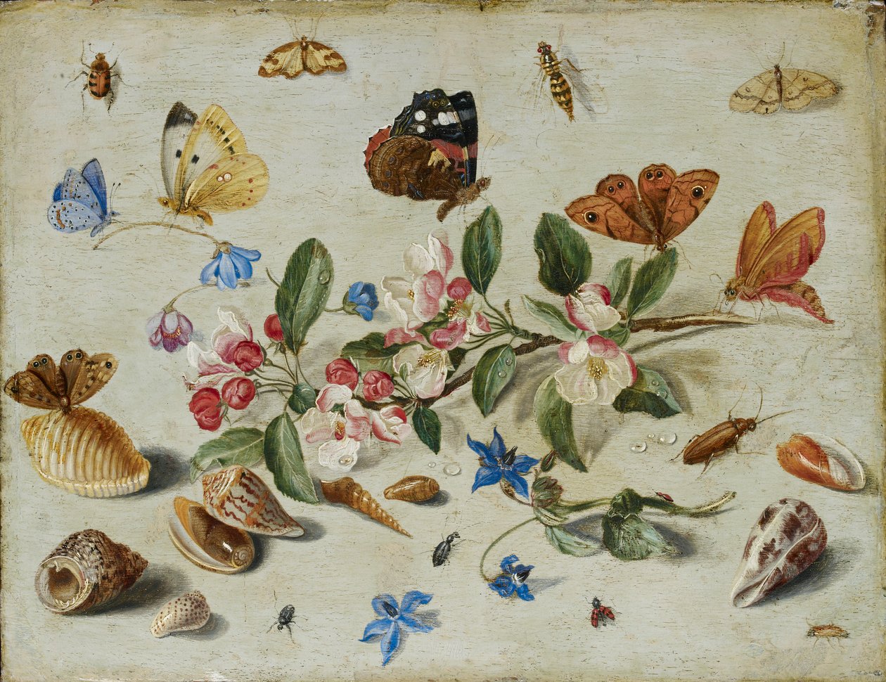 Virágok és rovarok, 1650-es évek vége vagy 1660-as évek eleje alkotó: Jan van Kessel