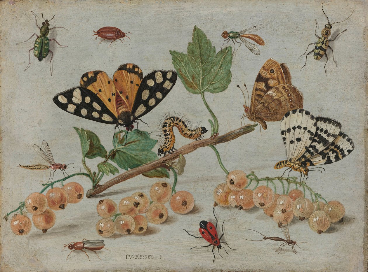 Rovarok és gyümölcsök, 1660-1665 körül (olaj, réz) alkotó: Jan van Kessel the Elder