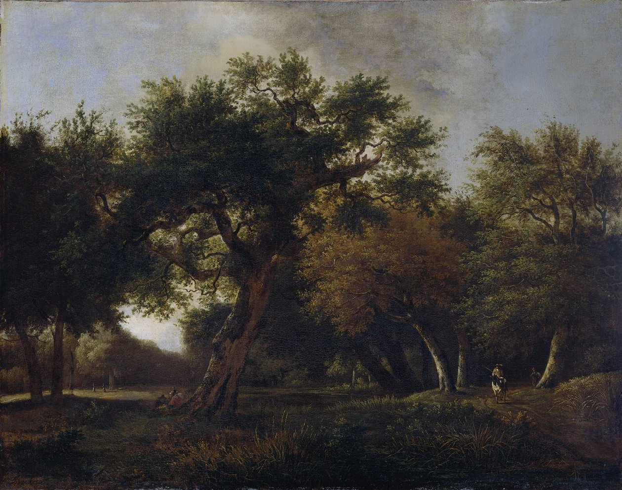 Kilátás az erdőben alkotó: Jan van Kessel