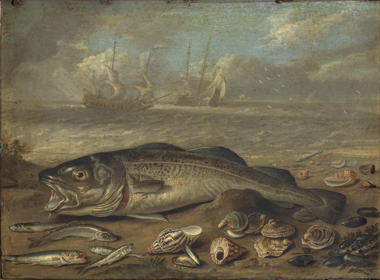 Halak és tengeri táj alkotó: Jan van Kessel the Elder
