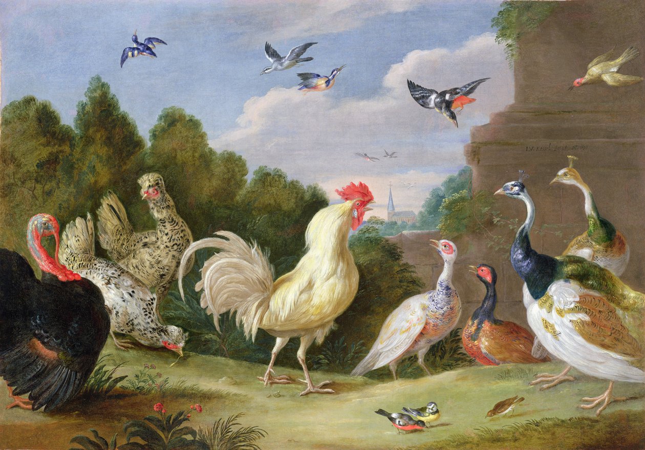 Erdős táj kakassal, pulyka, tyúkok és más madarak, 17. század alkotó: Jan van Kessel the Elder