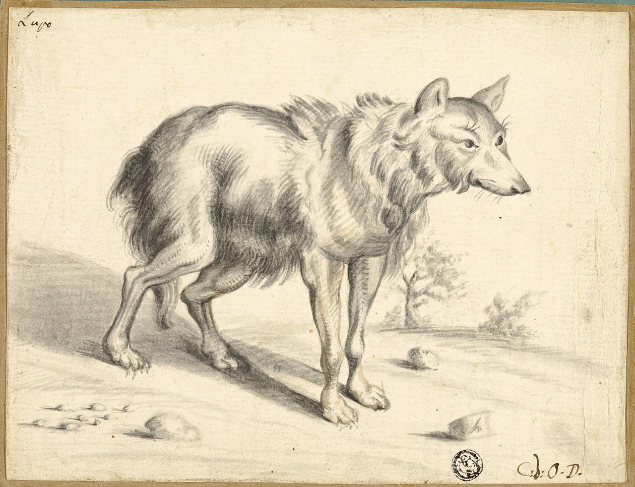 Farkas alkotó: Jan van Os
