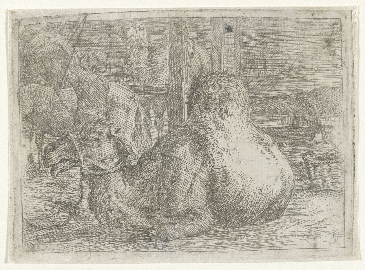 Fekvő teve alkotó: Jan van Ossenbeeck