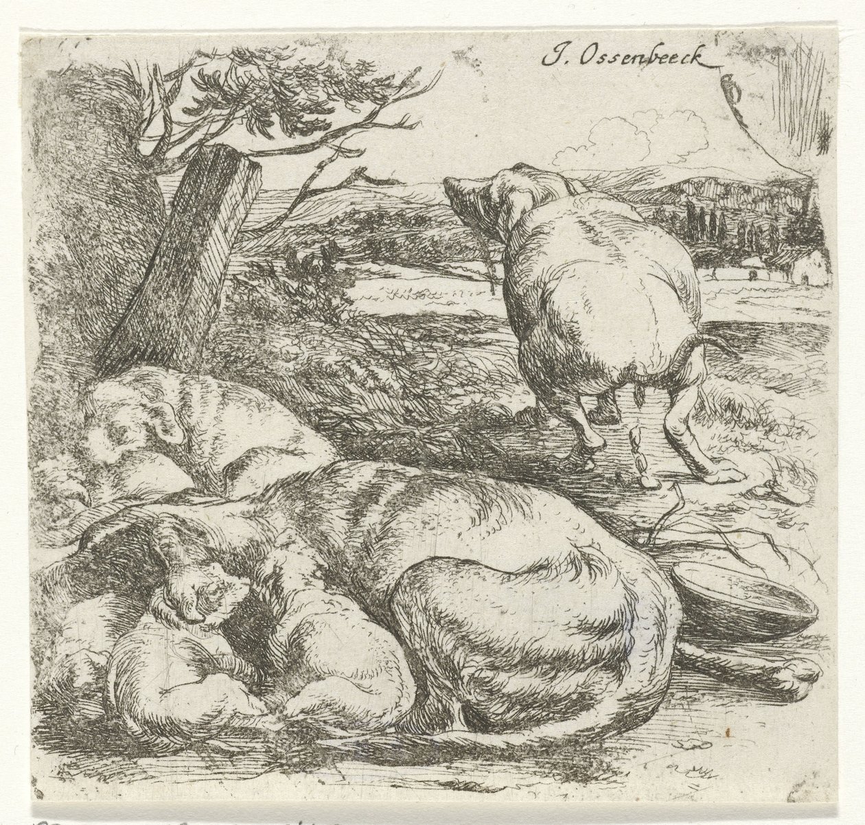 Szuka kölykökkel alkotó: Jan van Ossenbeeck