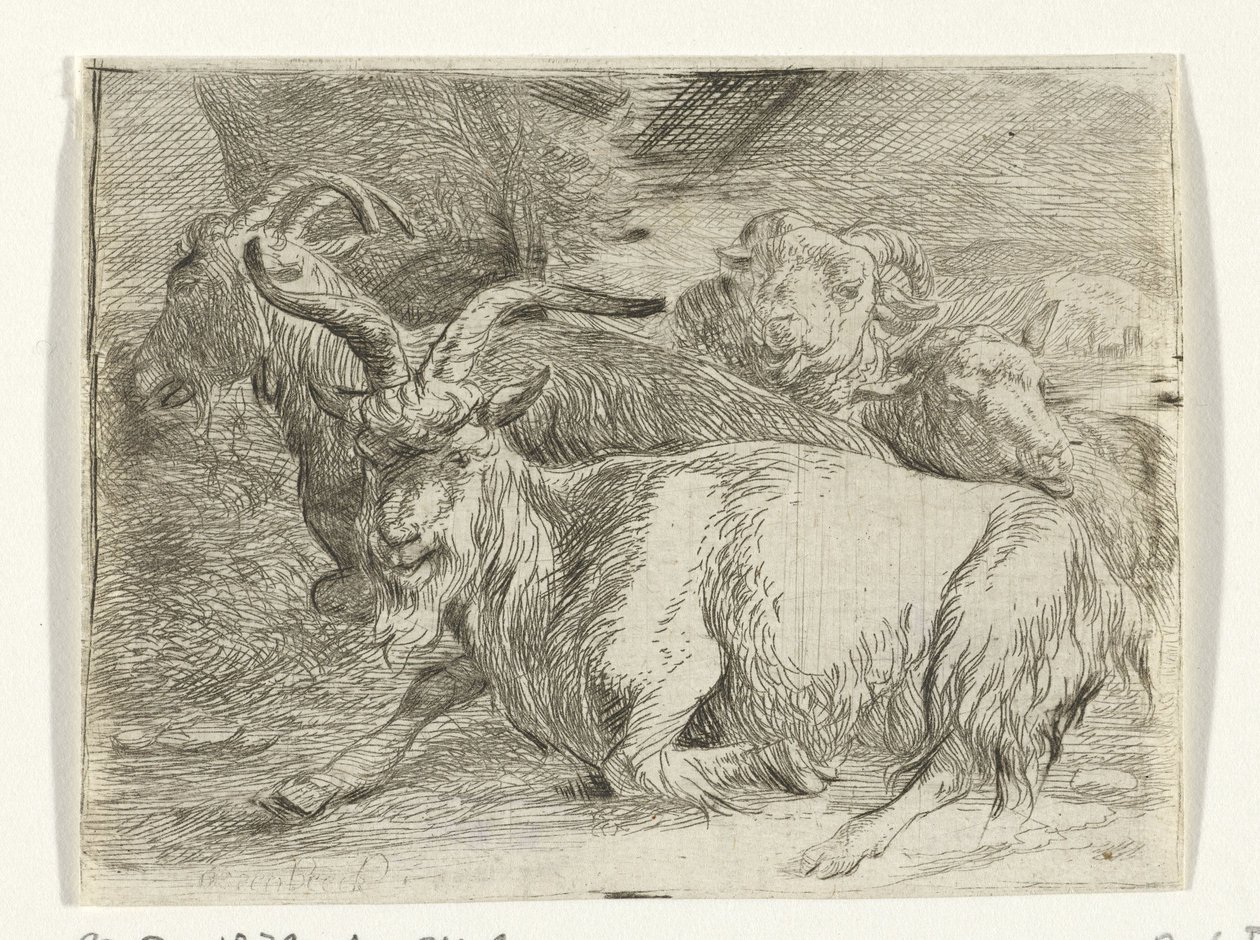 Két kecske és két bárány alkotó: Jan van Ossenbeeck