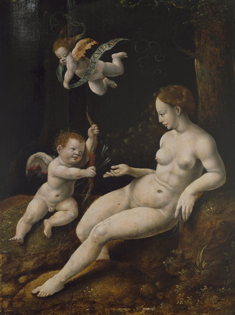 Vénusz és két Ámor, 1528 körül (olaj, panel) alkotó: Jan van Scorel