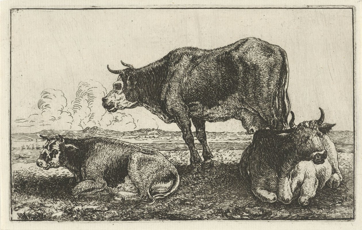Három tehén Állatok (sorozat címe) Zoographiam (sorozat címe) alkotó: Jan van den Hecke