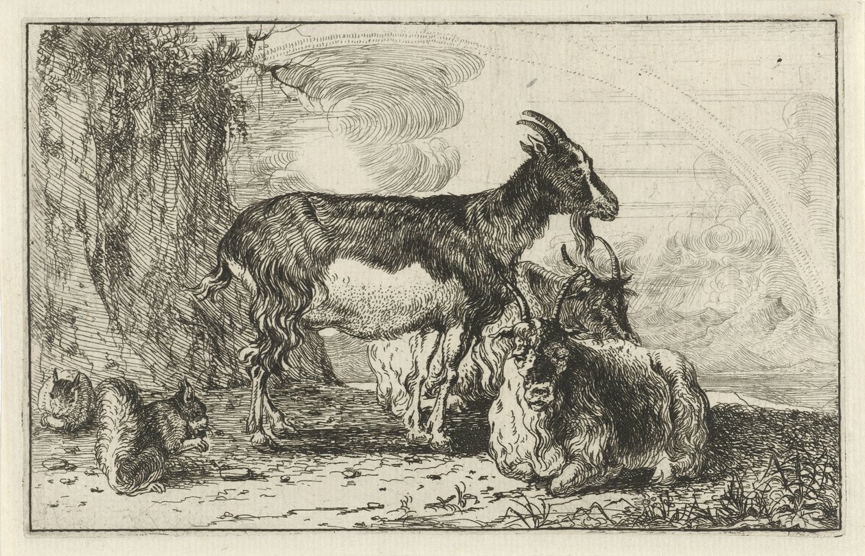 kecskéket Állatok (sorozat címe) Zoographiam (sorozat címe) alkotó: Jan van den Hecke