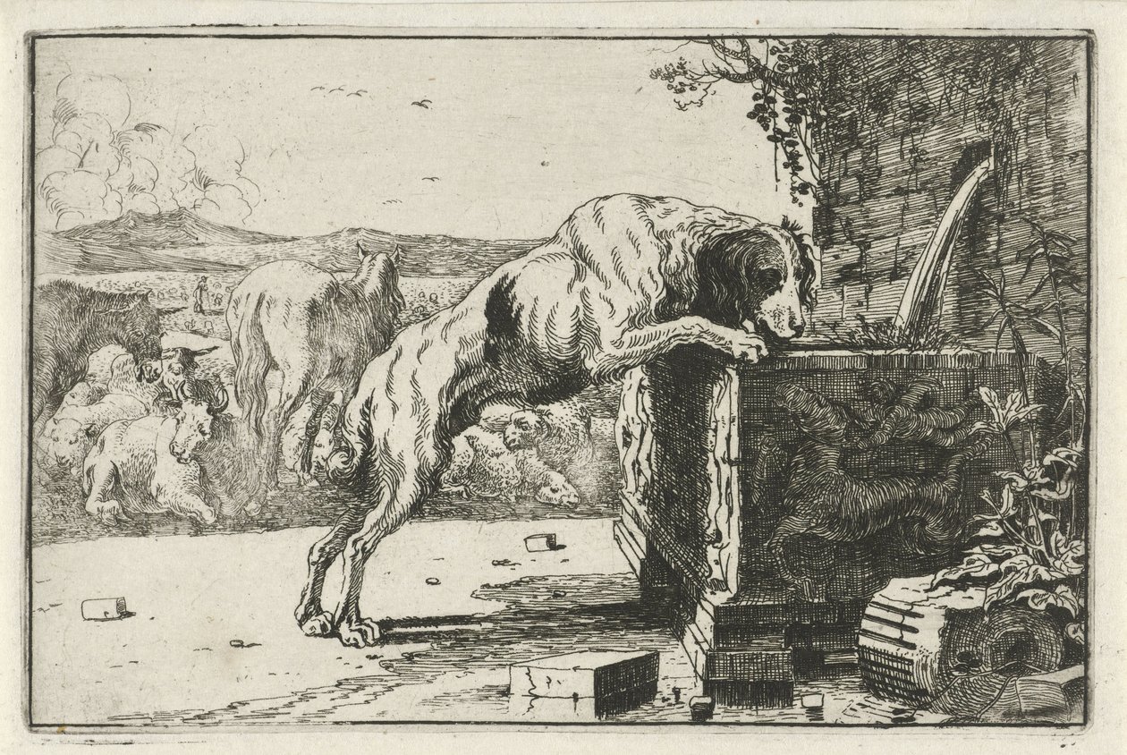 Kutya a szökőkútnál Állatok (sorozat címe) Zoographiam (sorozat címe) alkotó: Jan van den Hecke