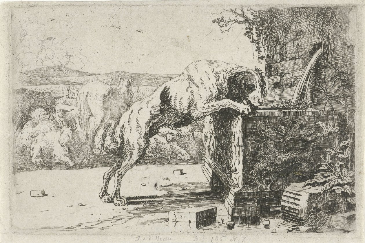 Kutya a szökőkútnál Állatok (sorozat címe) Zoographiam (sorozat címe) alkotó: Jan van den Hecke