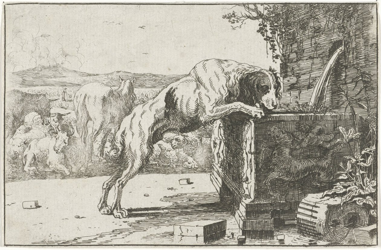 Kutya a szökőkútnál Állatok (sorozat címe) Zoographiam (sorozat címe) alkotó: Jan van den Hecke