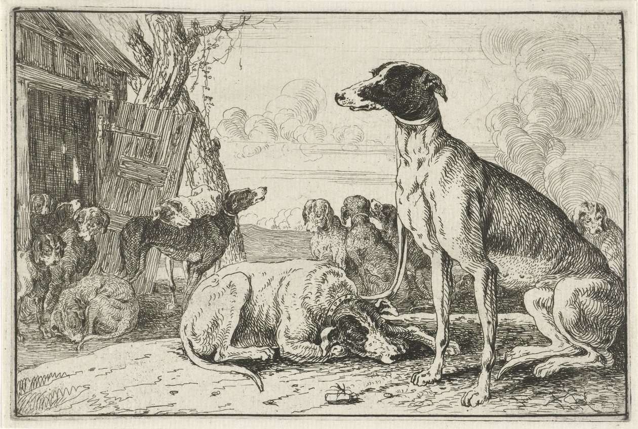 kutyaól Állatok (sorozat címe) Zoographiam (sorozat címe) alkotó: Jan van den Hecke