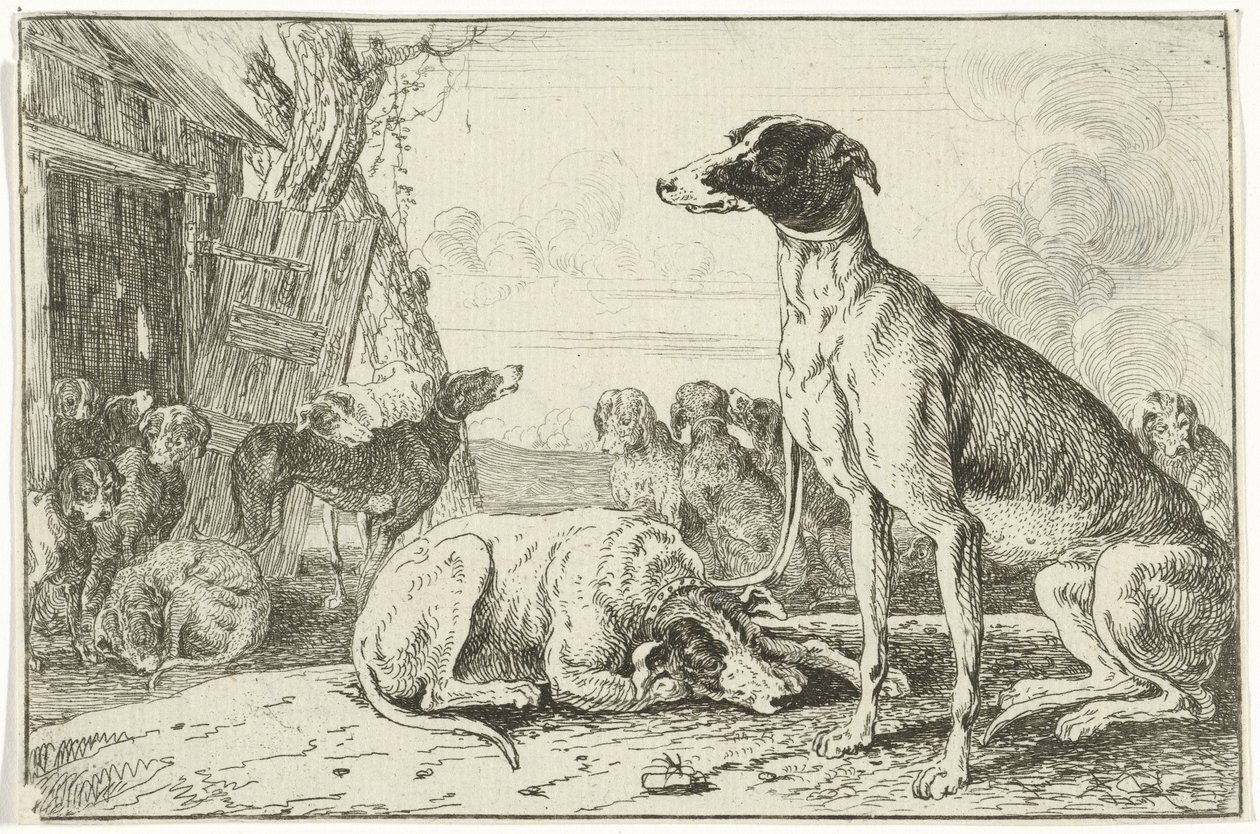 Kutyaól Állatok (sorozat címe) Zoographiam (sorozat címe) alkotó: Jan van den Hecke