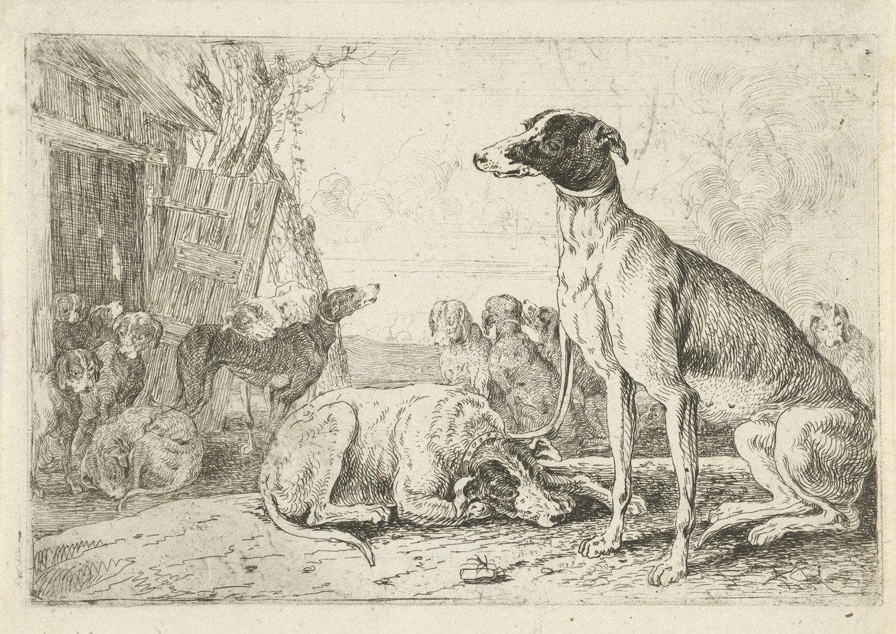 kutyaól Állatok (sorozat címe) Zoographiam (sorozat címe) alkotó: Jan van den Hecke