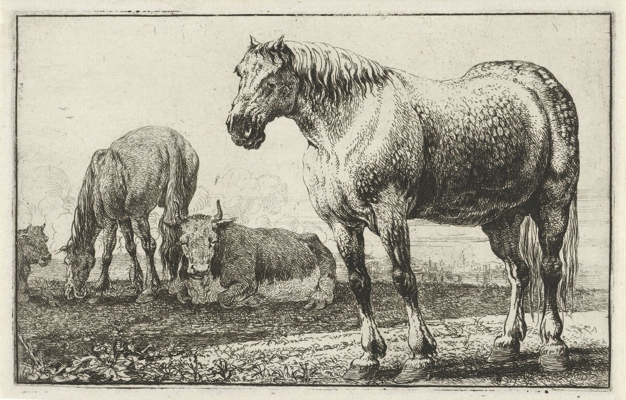 Lovak és tehenek Állatok (sorozat címe) Zoographiam (sorozat címe) alkotó: Jan van den Hecke