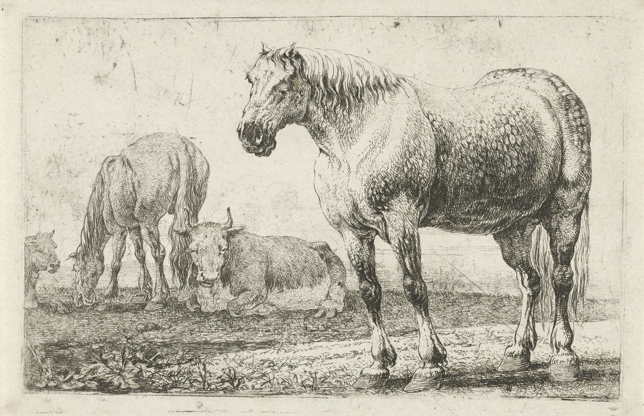 Lovak és tehenek Állatok (sorozat címe) Zoographiam (sorozat címe) alkotó: Jan van den Hecke
