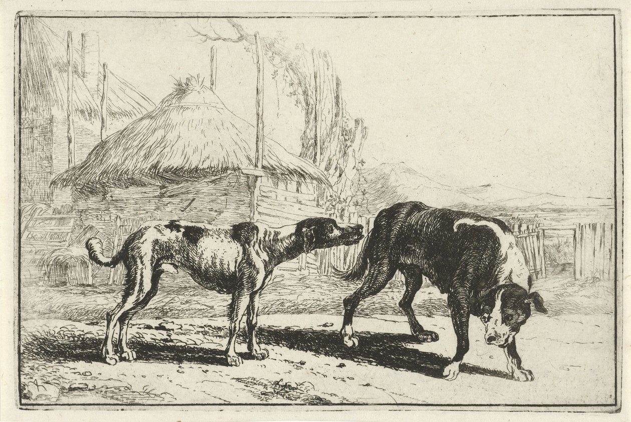 Férfi és nő Állatok (sorozat címe) Zoographiam (sorozat címe) alkotó: Jan van den Hecke