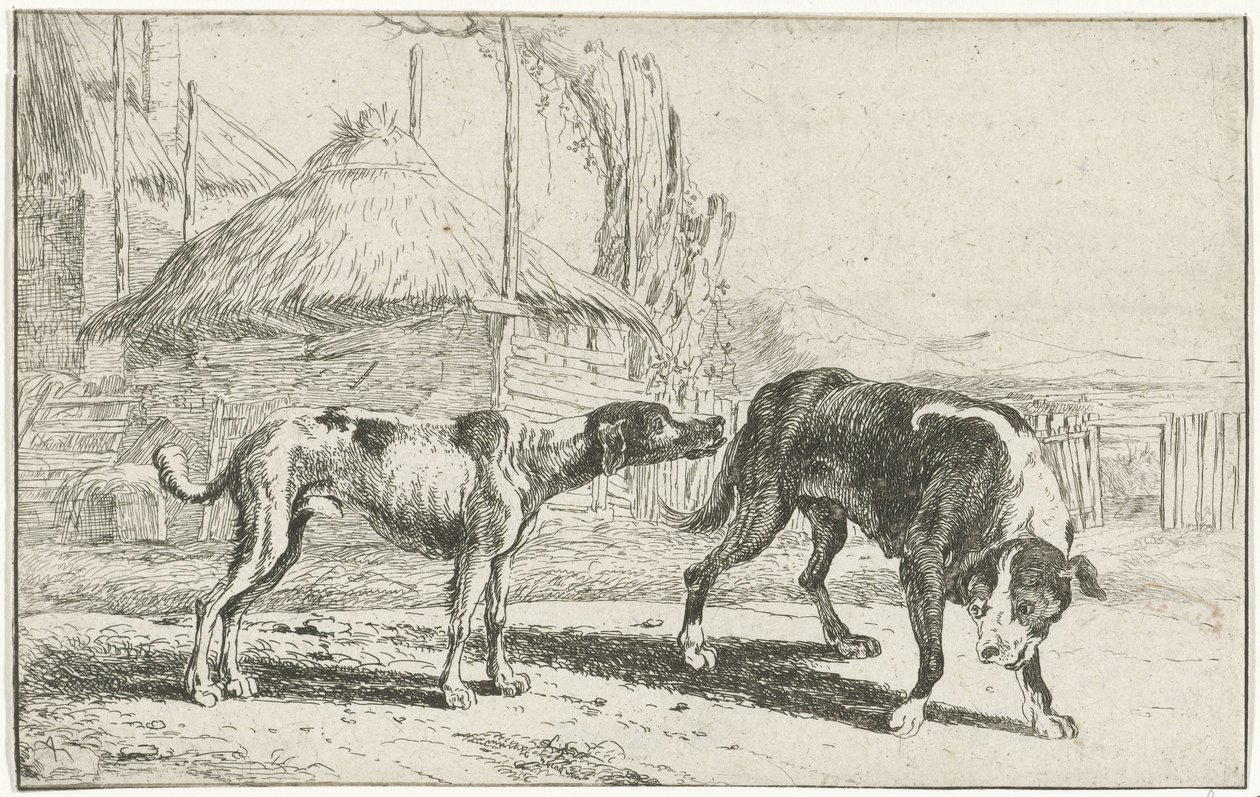 Férfi és nő Állatok (sorozat címe) Zoographiam (sorozat címe) alkotó: Jan van den Hecke