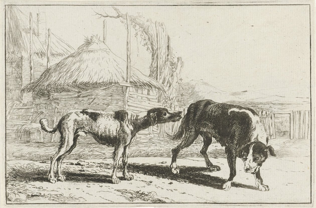 Férfi és nő Állatok (sorozat címe) Zoographiam (sorozat címe) alkotó: Jan van den Hecke