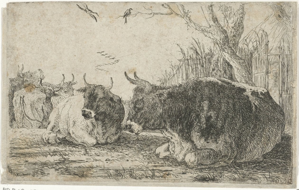 pihenő tehenek Állatok (sorozat címe) Zoographiam (sorozat címe) alkotó: Jan van den Hecke