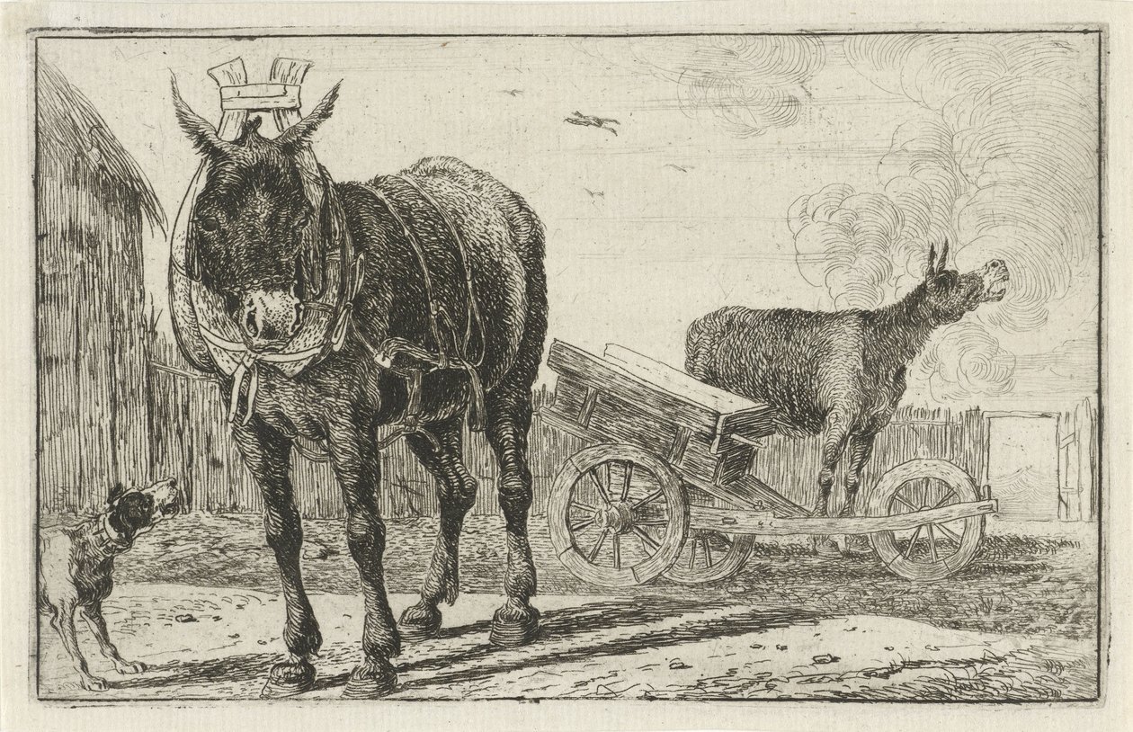 Két szamár Állatok (sorozat címe) Zoographiam (sorozat címe) alkotó: Jan van den Hecke