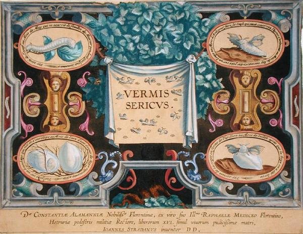 Theodor Galle (1571-1633) által metszett „Vermis Sericus” (A selyemhernyó) előlapja (metszet) alkotó: Jan van der Straet