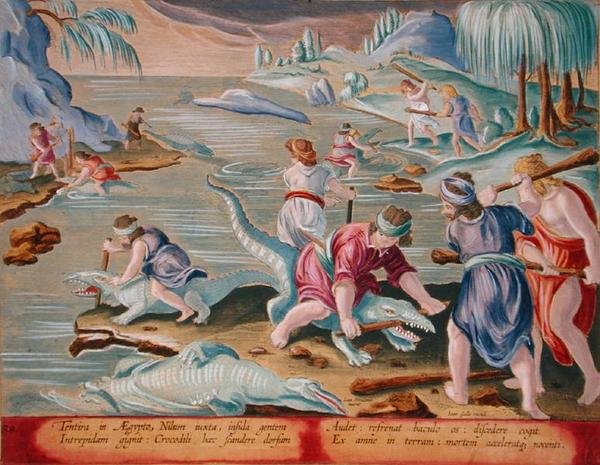 Krokodilok megölése botokkal és botokkal, 88. tábla a „Venationes Ferarum, Avium, Piscium” (Vadászatról: Vadállatok, madarak, halak) anyagából, Jan Collaert (1566-1628) metszete, Phillipus Gallaeus Amszterdam (kézzel színezett metszet) alkotó: Jan van der (1523 1605) (after) Straet