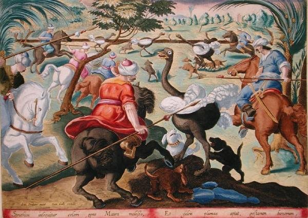 Mórok lóháton vadászó struccok, 62-es tábla a „Venationes Ferarum, Avium, Piscium”-ból (Vadászatról: Vadállatok, madarak, halak), Jan Collaert (1566-1628) metszete, Phillipus Gallaeus Amszterdam (kézzel színezett metszet) alkotó: Jan van der Straet