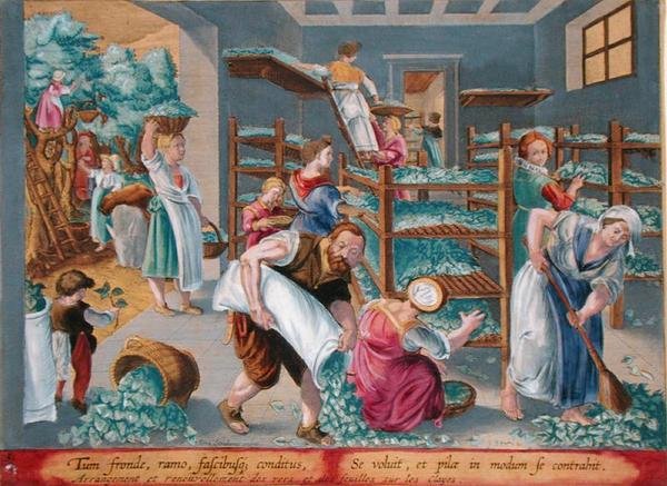 Női polcokat eperfalevelekkel bélelve a selyemhernyók számára, 5. tábla a „Vermis Sericus”-ból (A selyemhernyó), Philip Galle (1537-1612) metszetével (metszet) alkotó: Jan van der Straet