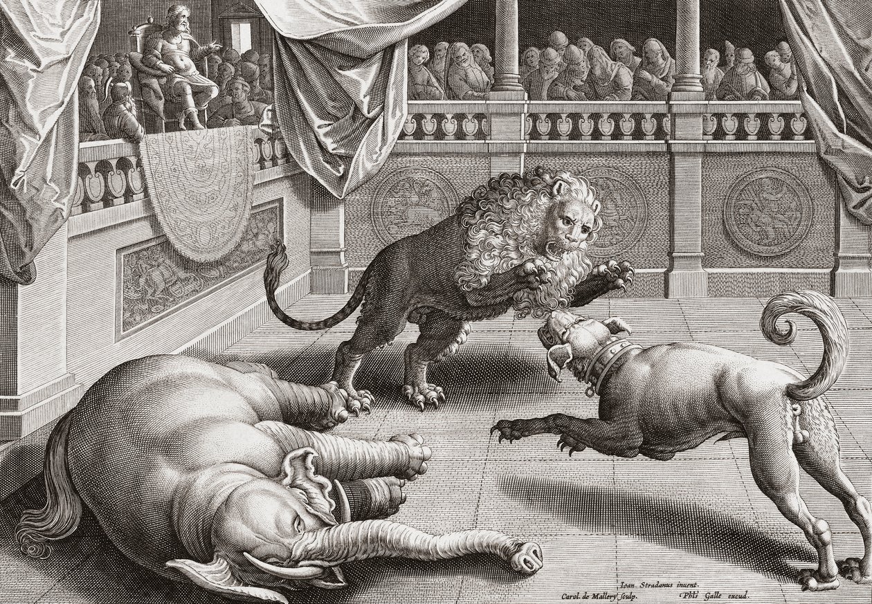 Nagy Sándor állatok harcát nézi, 16. század alkotó: Jan van der 1523 1605 after Straet