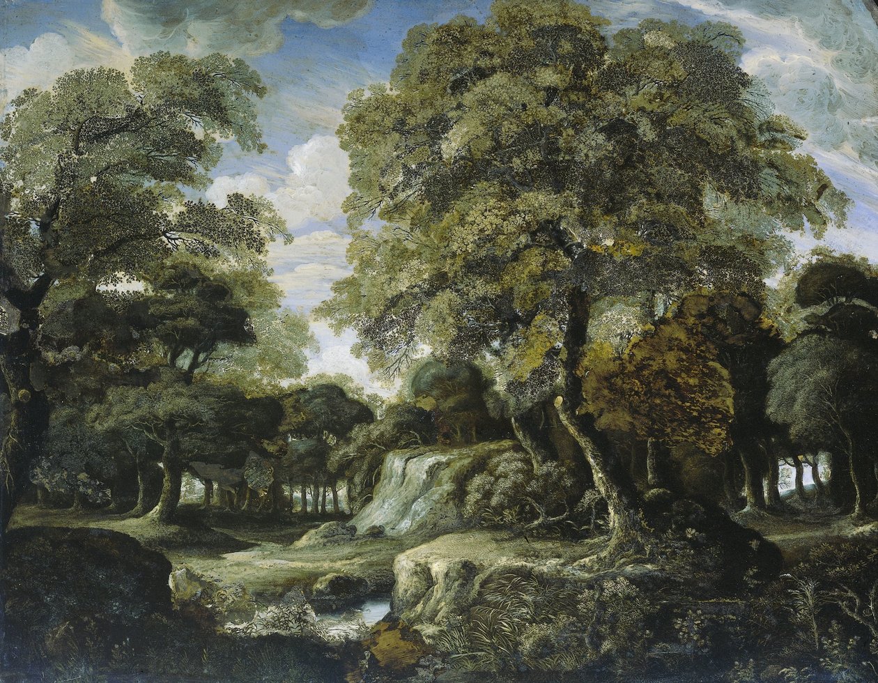 Kilátás az erdőben alkotó: Jan van der Heyden