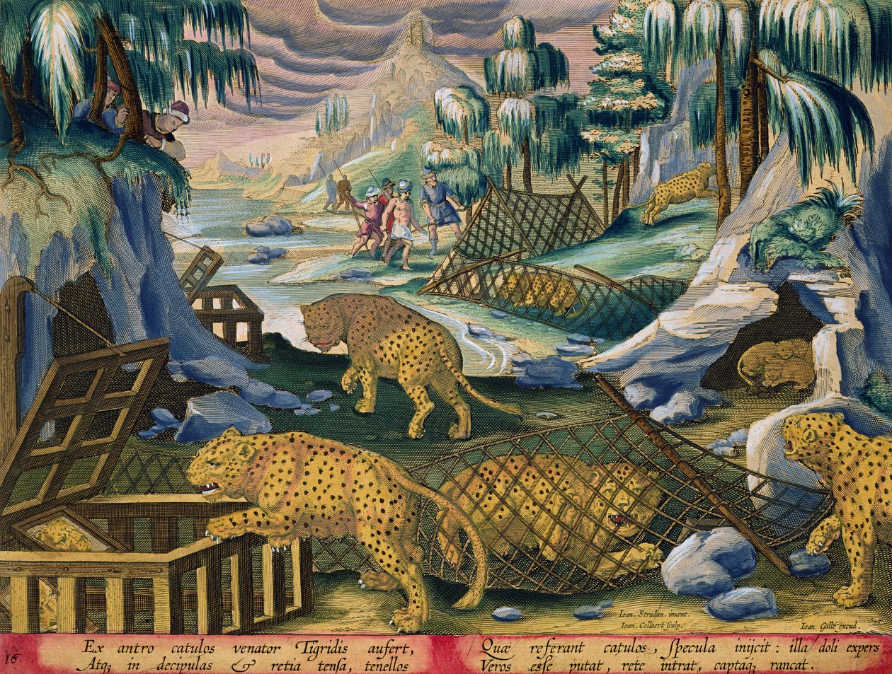 Leopárdok befogása hálókkal és tükrös ketrecekkel, 15. tábla a „Venationes Ferarum, Avium, Piscium”-ból (Vadászatról: Vadállatok, madarak, halak), vésette Jan Collaert (1566-1628) p. alkotó: Jan van der Straet