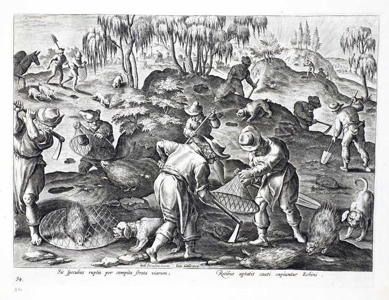 Porcupines kiásása és befogása, 54. tábla, illusztráció a „Venationes, Ferarum, Avium, Piscium” (Vadászatról: Vadállatok, madarak, halak) könyvéből, metszett: Jan Collaert (1566-1628), kocsma. Phillipus által alkotó: Jan van der Straet