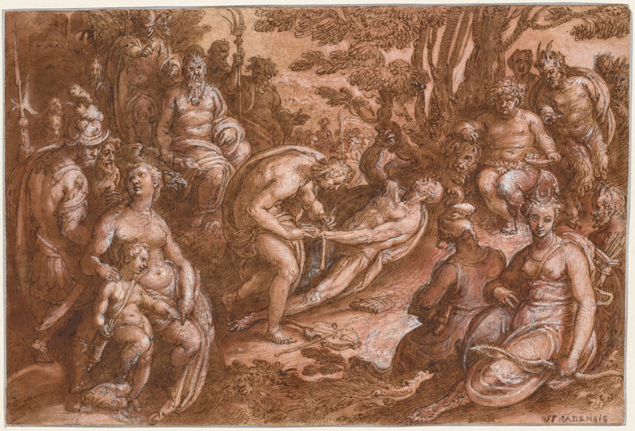 Marsyas nyúzása alkotó: Jan van der Straet, called Johannes Stradanus