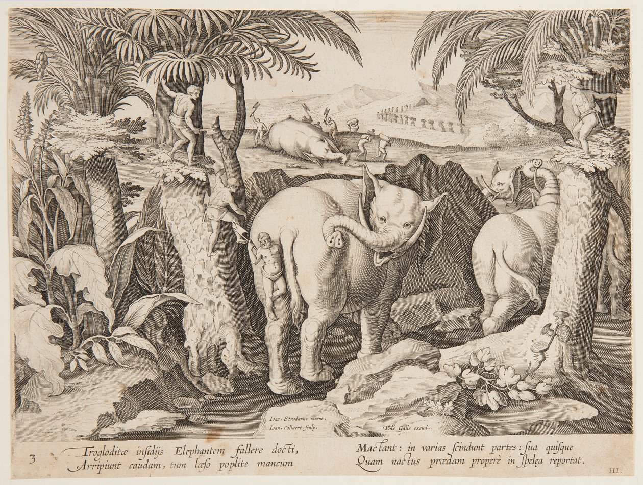 Cavemen Chasing Elephants, 3. lemez a Vadon élő állatok, madarak és halak vadászata sorozatból alkotó: Jan van der Straet, called Stradanus