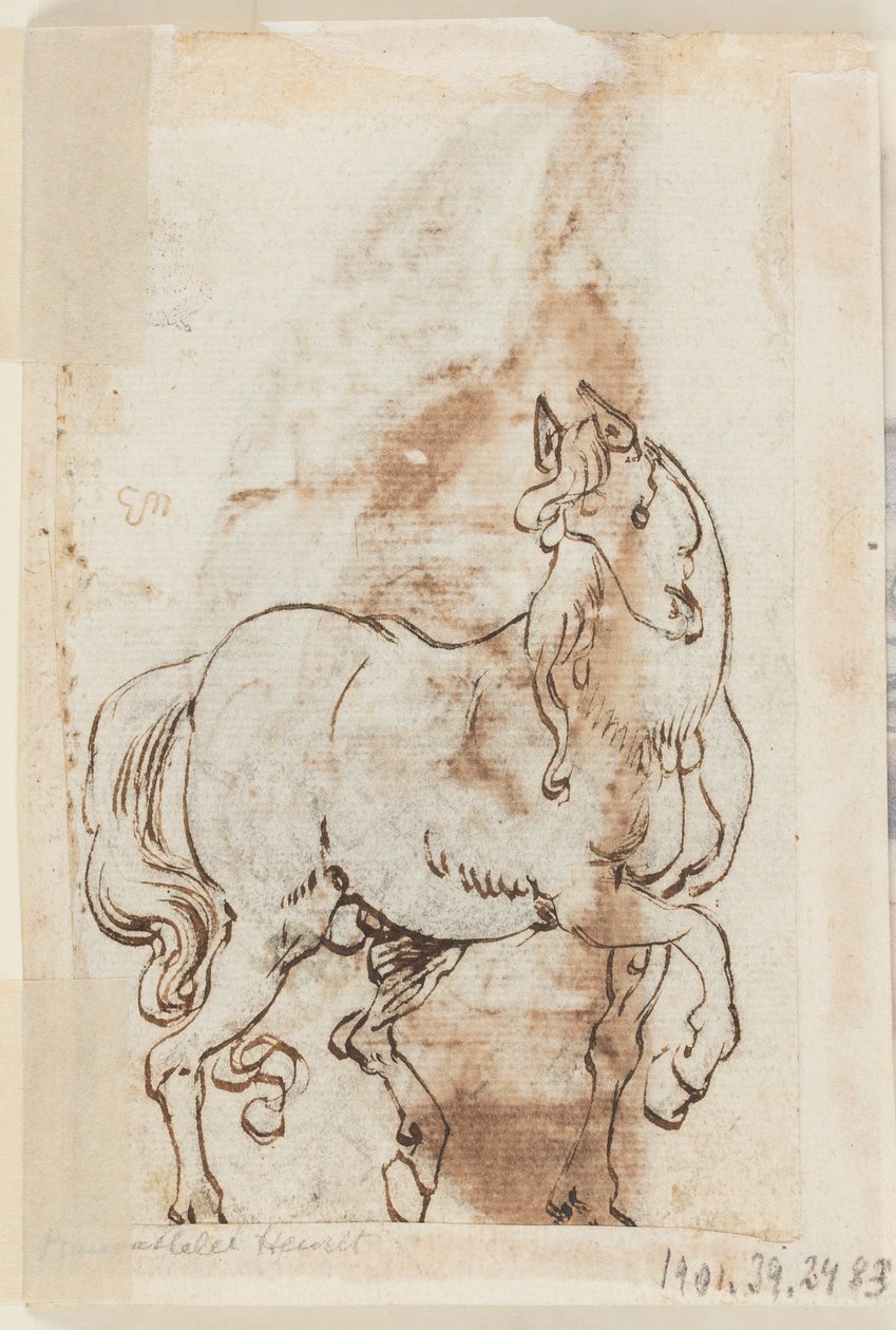 egy rajzfüzet oldala; Tanulmány Szent Magdolna festéséhez; Egy mén alkotó: Jan van der Straet, called Stradanus