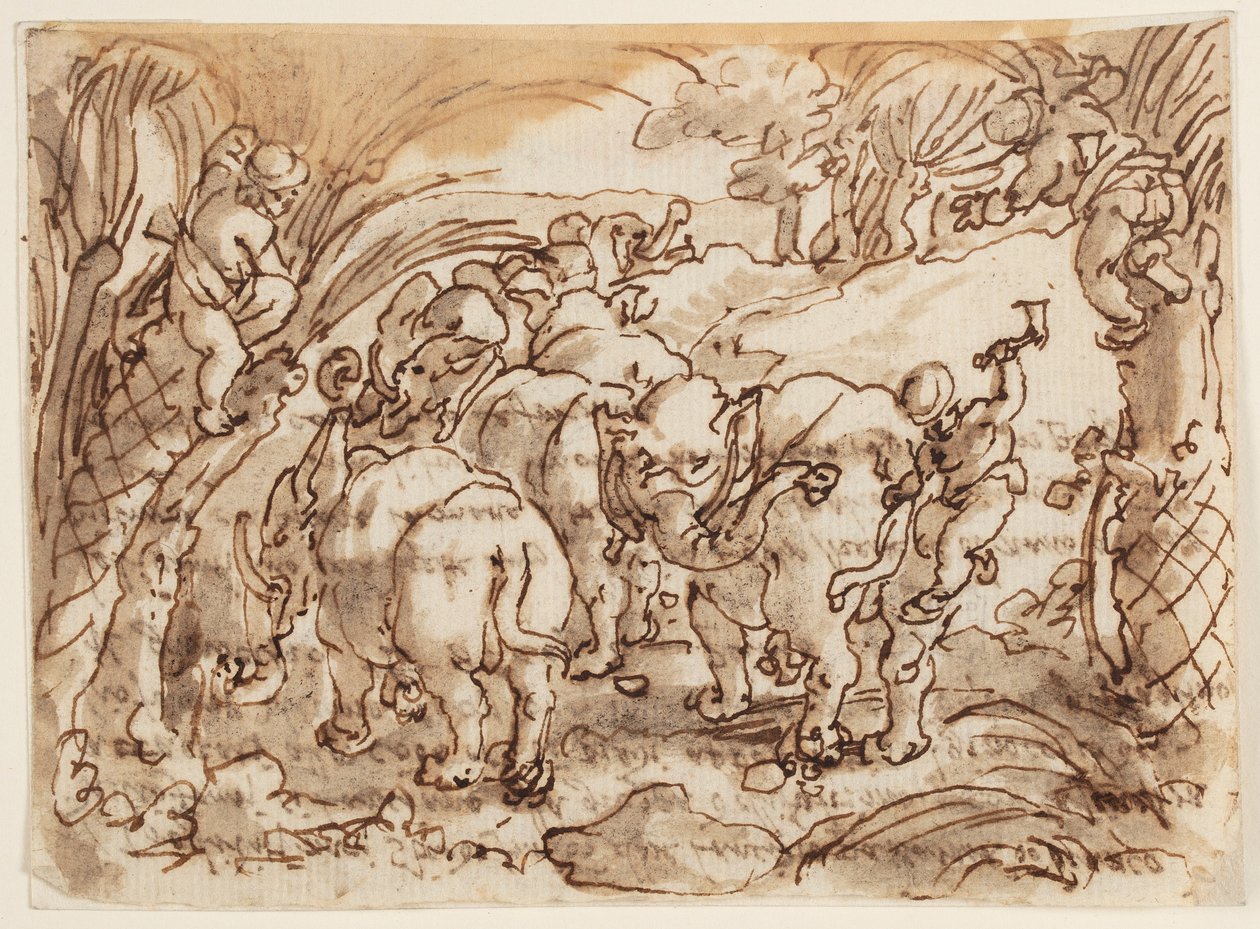 Recto: Troglodytes által vadászott elefántok [barlanglakók]; Verso: Idősebb Plinius természetrajzához kapcsolódó felirat, 8. könyv, 8. fejezet alkotó: Jan van der Straet, called Stradanus