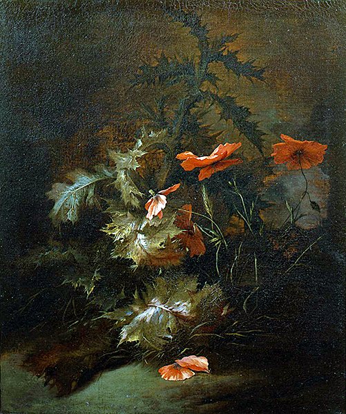 Bogáncs és pipacs (olaj, vászon) alkotó: Jan van the Elder Kessel