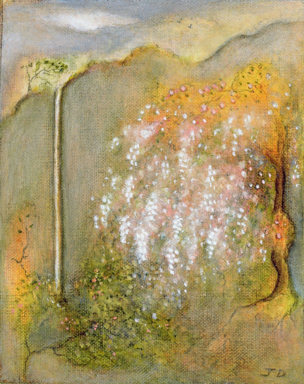 White Wisteria, 2001 alkotó: Jane Deakin