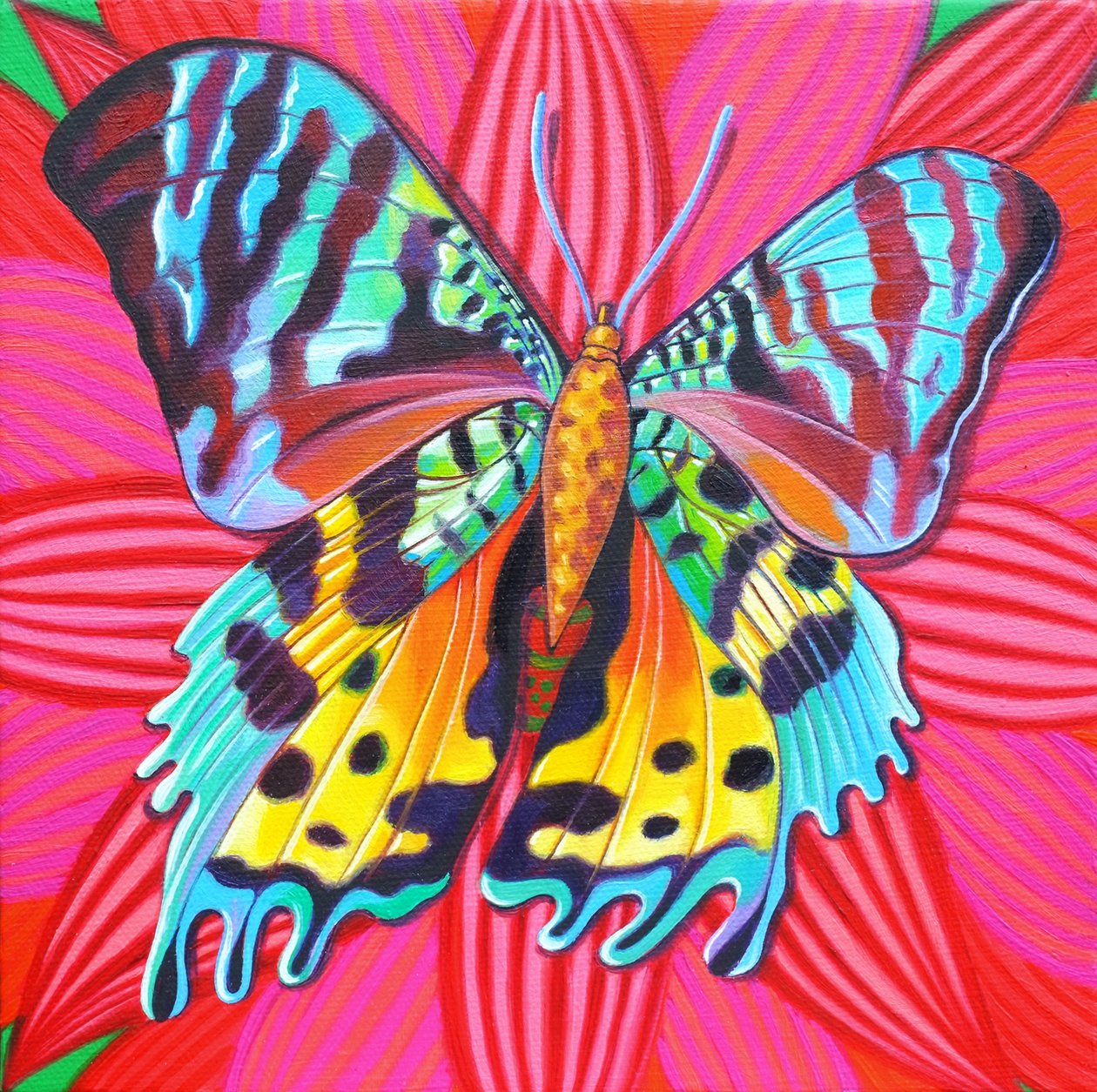 Sunset Moth, 2014, alkotó: Jane Tattersfield