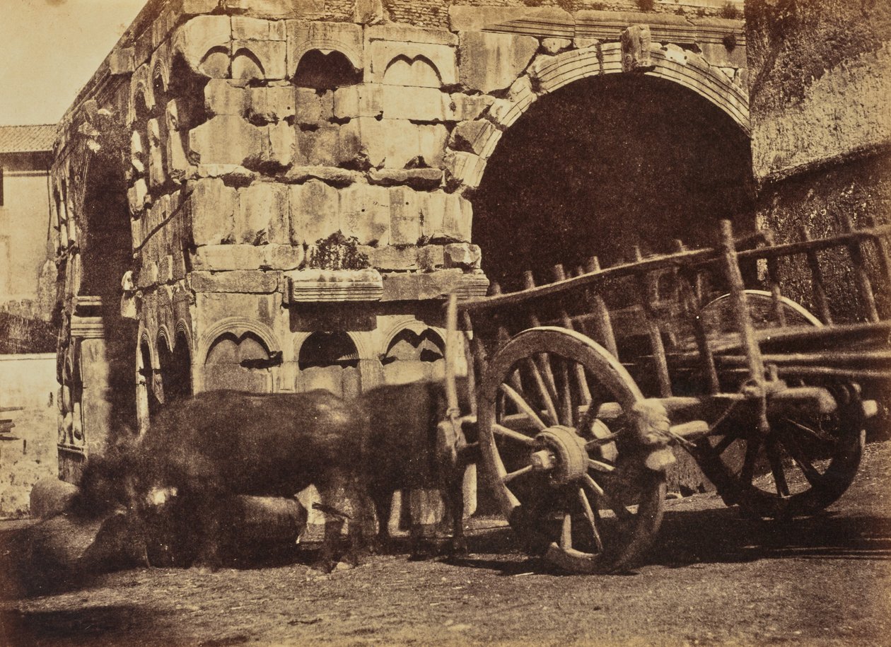 Buffalo Cart, Róma alkotó: Jane Martha St. John